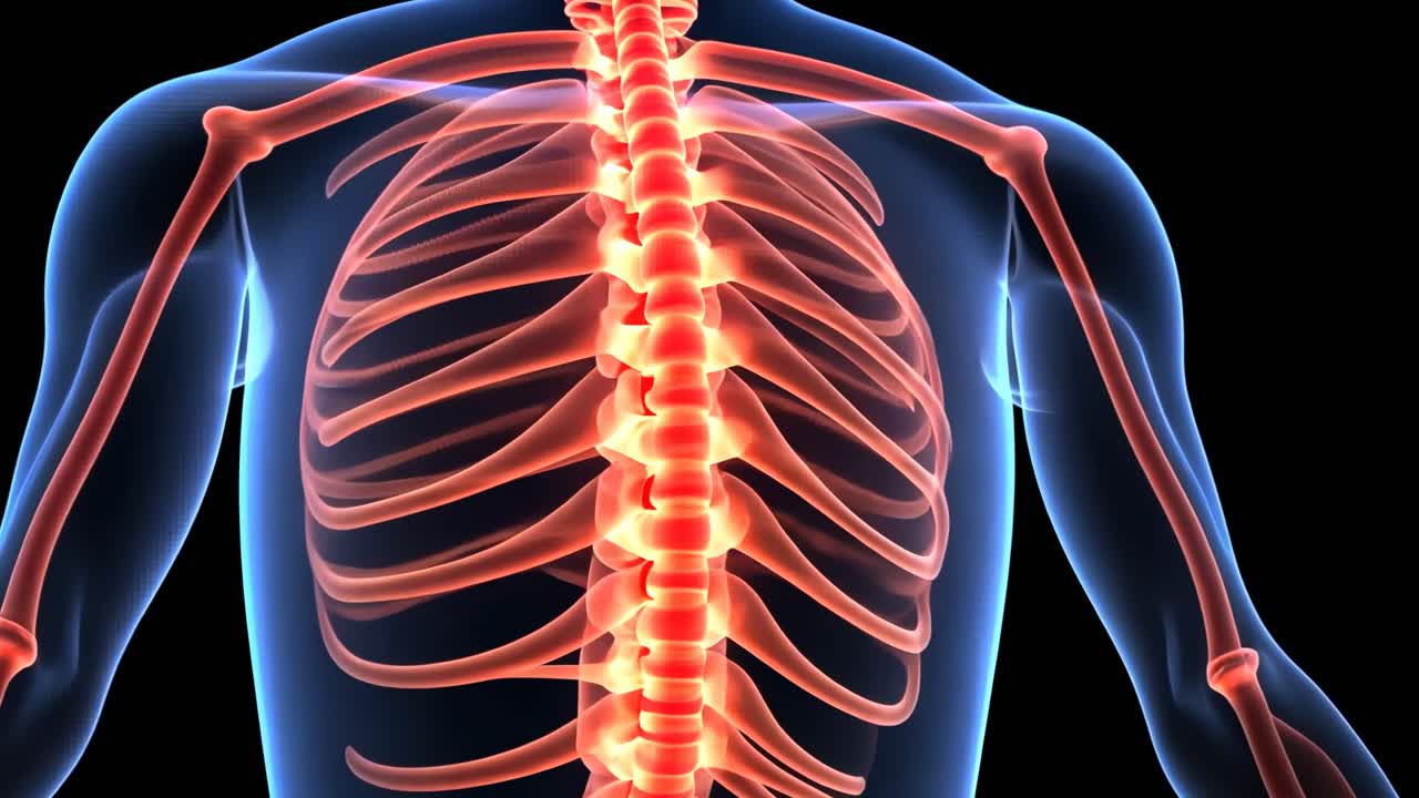 3D video rendering of a human spine glowing in red, viewed from a rear angle