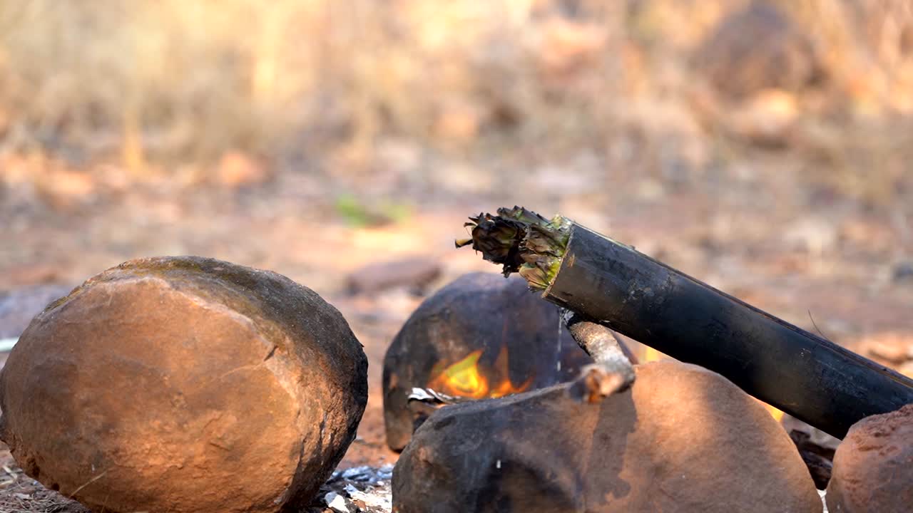 sección de bambú cocinando con vapor y a la parrilla en las colinas camping en la naturaleza