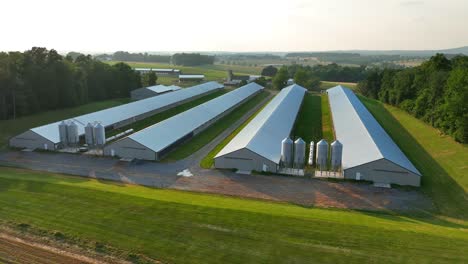 chicken farm in usa