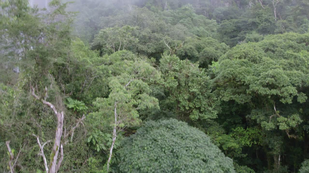 levantamiento aéreo de una pareja de pie cerca de la cascada de las lajas que fluye hacia un estanque rocoso rodeado de bosques, san luis morete, costa rica