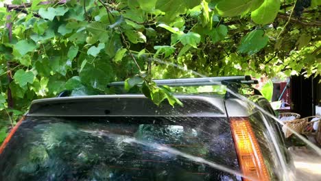 homemade rear windshield washing with hose water jet under grapevine shade home garage in 4k