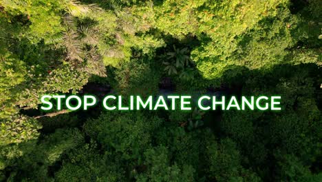 dense forest trees in sunlight with stop climate change motivational text