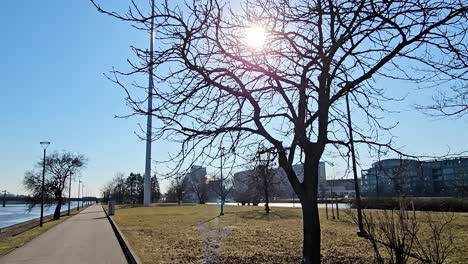 Long-white-flagpole,-camera-pans-up-with-red,-white,-and-red-flag,-that-waves-gently-on-a-flagpole-in-a-park-bathed-in-warm-sunshine,-Sky-is-blue-and-the-sun-is-shining