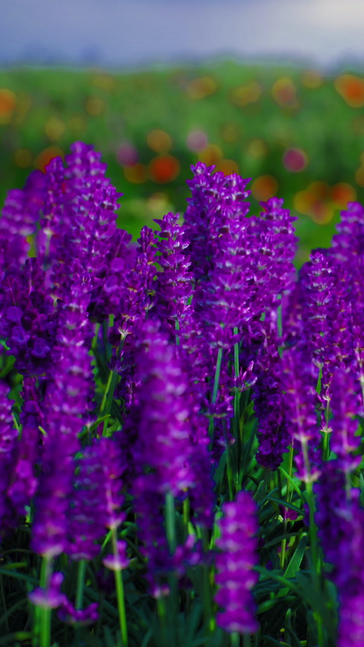 Vibrant purple flowers bloom in a colorful garden under a bright sky