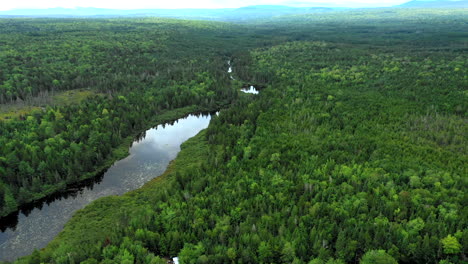 Luftaufnahme-über-Einer-Lebendigen-Grünen-Waldlandschaft-Mit-Den-Stillen-Wassern-Von-Shirley-Bog,-Die-Sich-Unter-Bedrohlichem-Stürmischen-Himmel-Durch-Die-Landschaft-Von-Maine-Winden