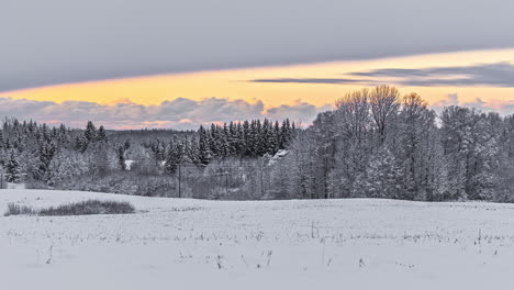 Frosty-frozen-forest-land-covered-by-snow---colorful-twilight-sky-with-clouds,-time-lapse