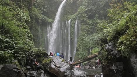 panorámica hacia arriba desde un arroyo hasta una cascada