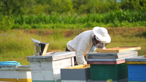 farmer near colorful beehives among green nature. beekeeper in protective hat checking hives on apiary. apiculture concept.