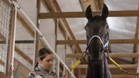 mujer joven que se preocupa por el caballo negro en el establo