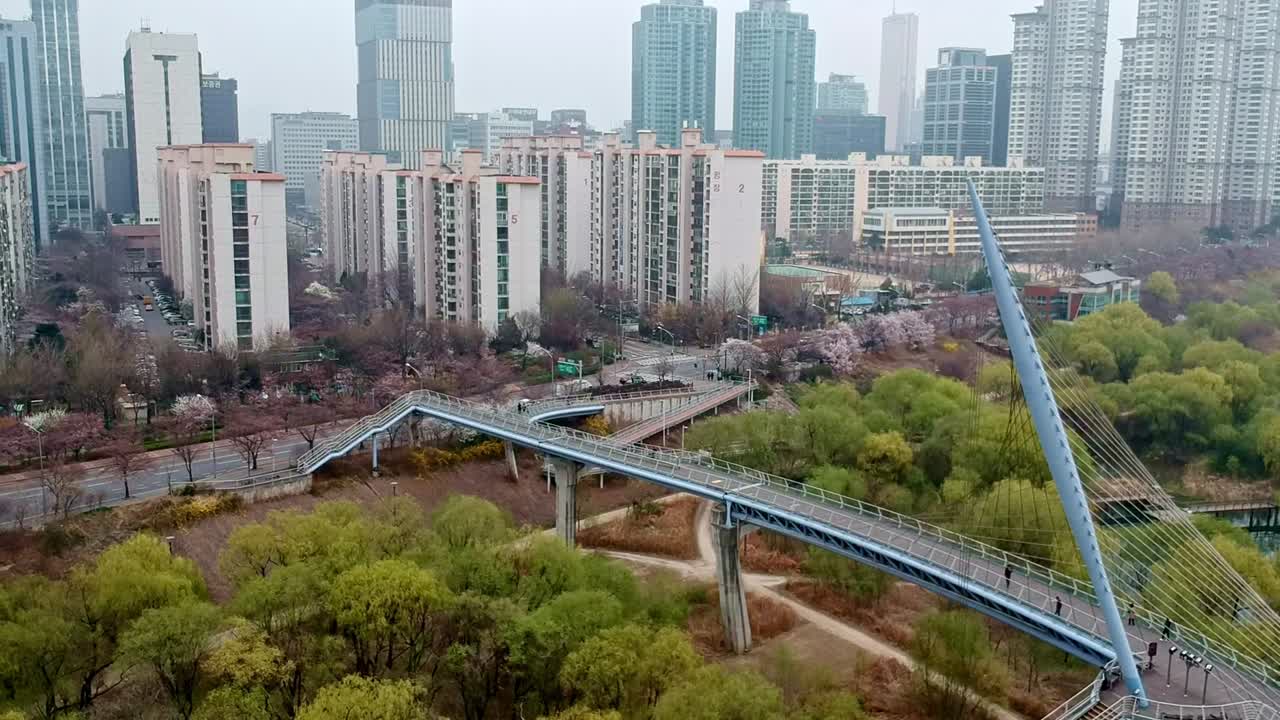 Downward glide shot highlighting an architecturally distinct bridge, a lush green space, and a striking skyline of skyscrapers.