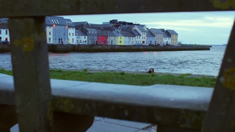 smooth slow-motion unveils the iconic "long walk" galway city centre