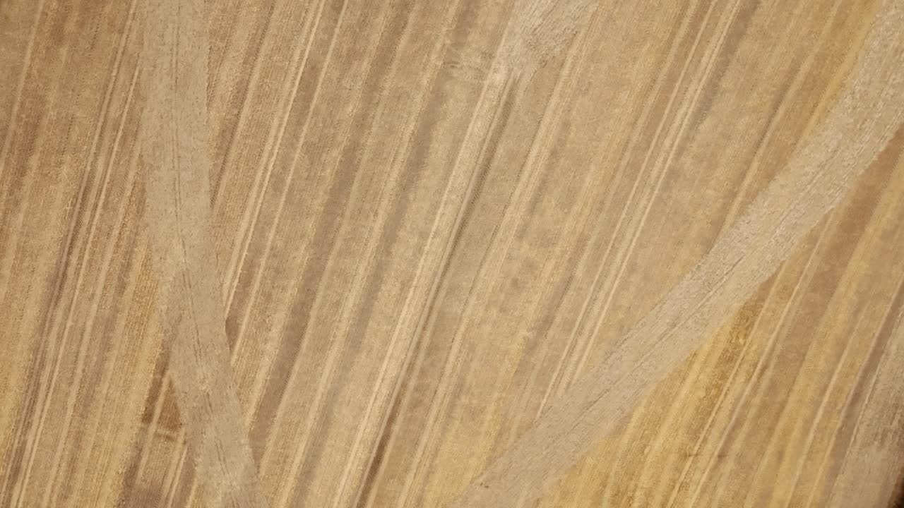 campo de granos con patrón en forma de corazón - aérea de arriba hacia abajo