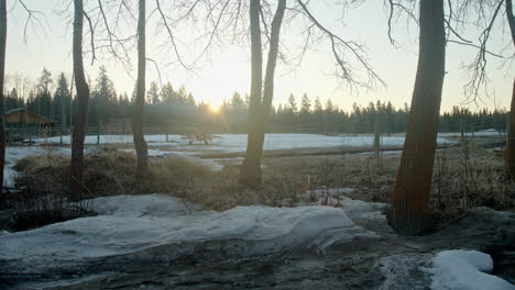 Sunrise-through-trees-over-farmland-ranch