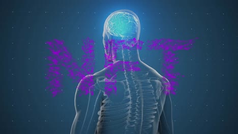 Animation-of-nft-over-human-model-on-blue-background