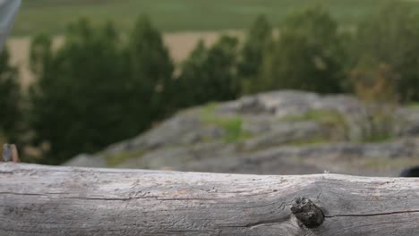 Hombre-Recogiendo-Binoculares-Fondo-De-Colina-Forestal,-Binoculares-Naturaleza-De-Cerca