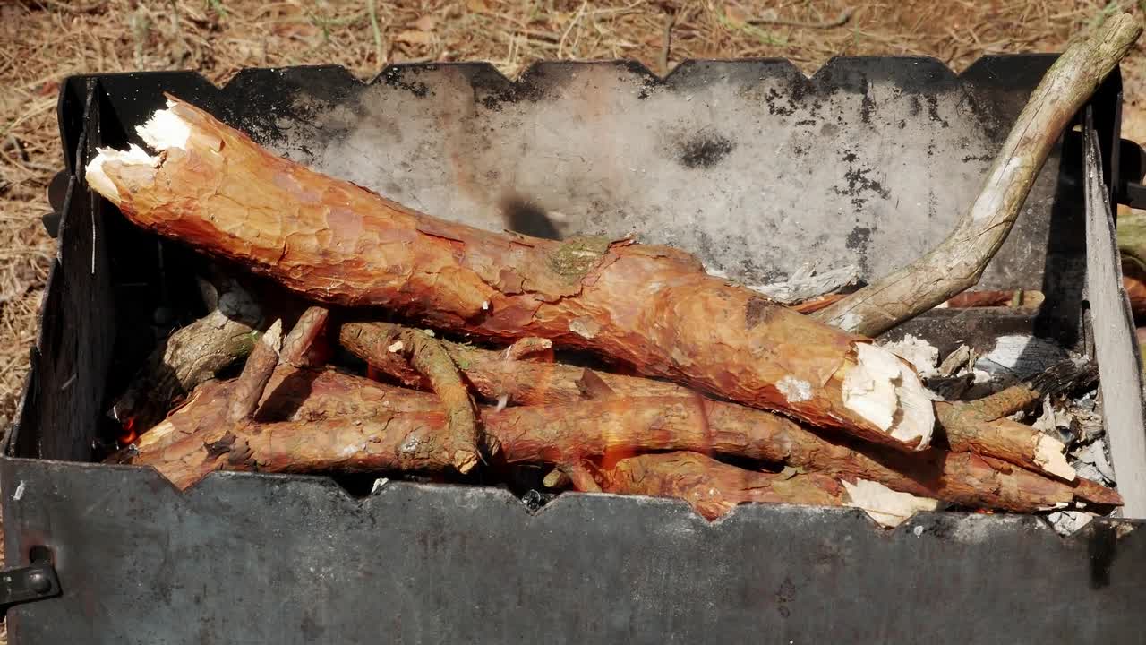 브라지어 바베큐 그릴 인 포레스트 4k