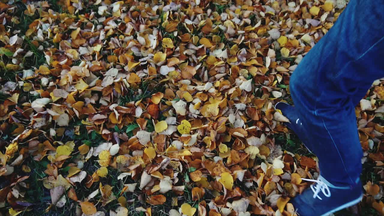 Walking through a Fall Leaf Pile