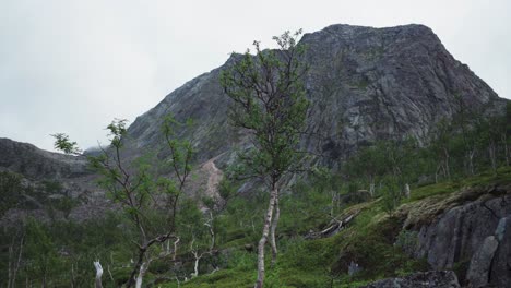 Felsiger-Berg-Kvaenan-Auf-Den-Senja-Inseln-In-Norwegen