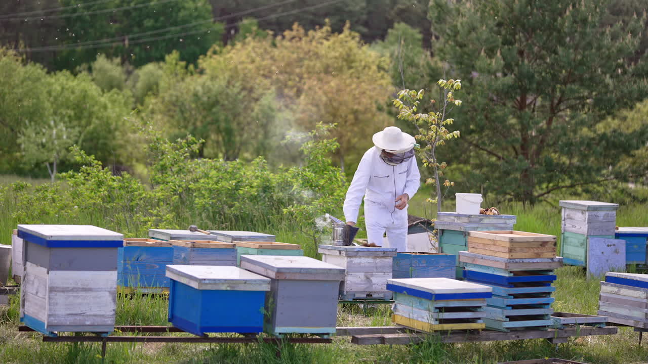 Male beekeeper puts on a protective hat on his head. Industrious apiculturist checking up his farm. Nature backdrop.