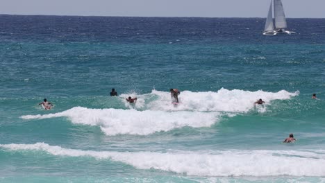 multiple surfers catching waves on a clear day