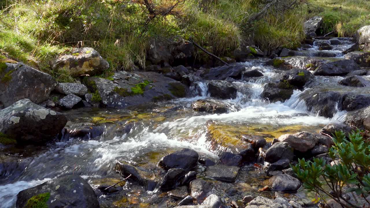 small natural mountain creek flows along a stony riverbed