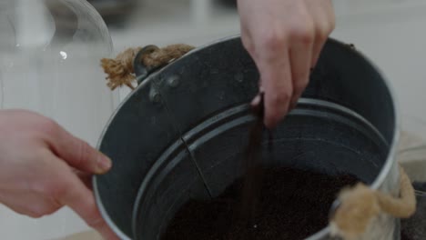 A-young-female-botanist-creates-a-tiny-live-forest-ecosystem-in-a-glass-terrarium---breaking-up-the-soil-in-the-bucket---a-tight-close-up