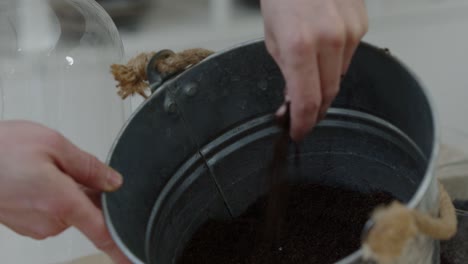 una joven botánica crea un pequeño ecosistema de bosque vivo en un terrario de vidrio, rompiendo el suelo en el balde, un primer plano ajustado
