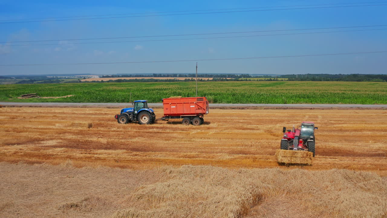 Harvesting Wheat Field with Tractors