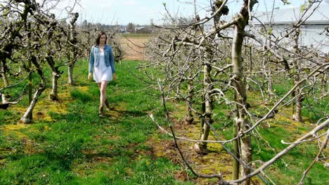 Woman-walking-in-a-vineyard-4k