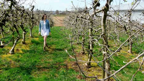 woman walking in a vineyard 4k