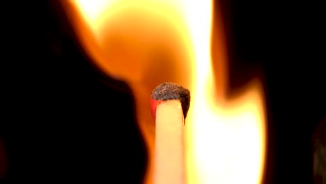 fuego consumiendo la punta de un fósforo
