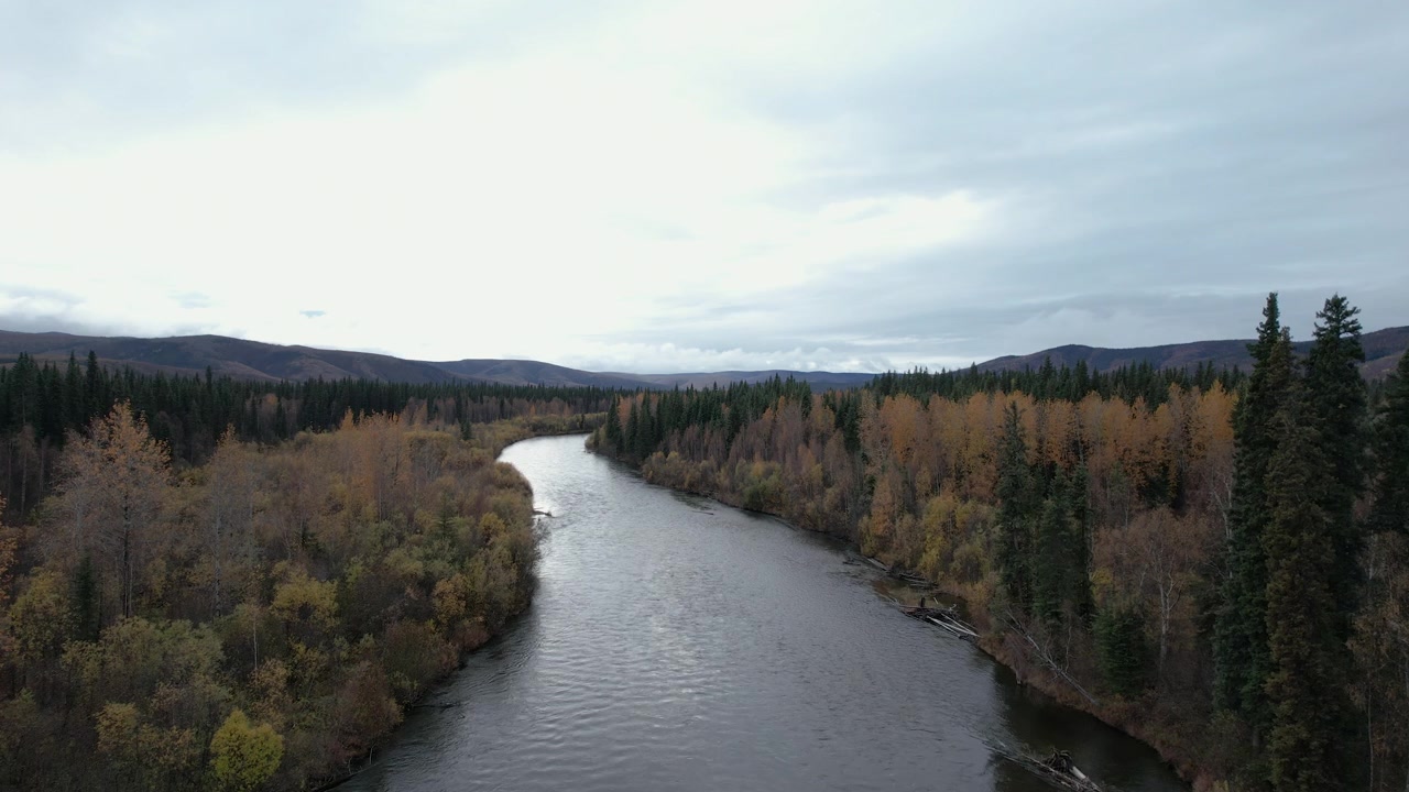 Hidas ilmakuva syksyn väreistä ja Chena-joesta Alaskassa, Yhdysvalloissa.