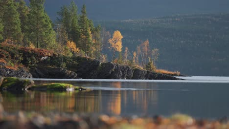 el ambiente sereno de un lago tranquilo, donde las orillas rocosas adornadas con musgo, hierba y árboles vibrantes de otoño crean una escena pintoresca