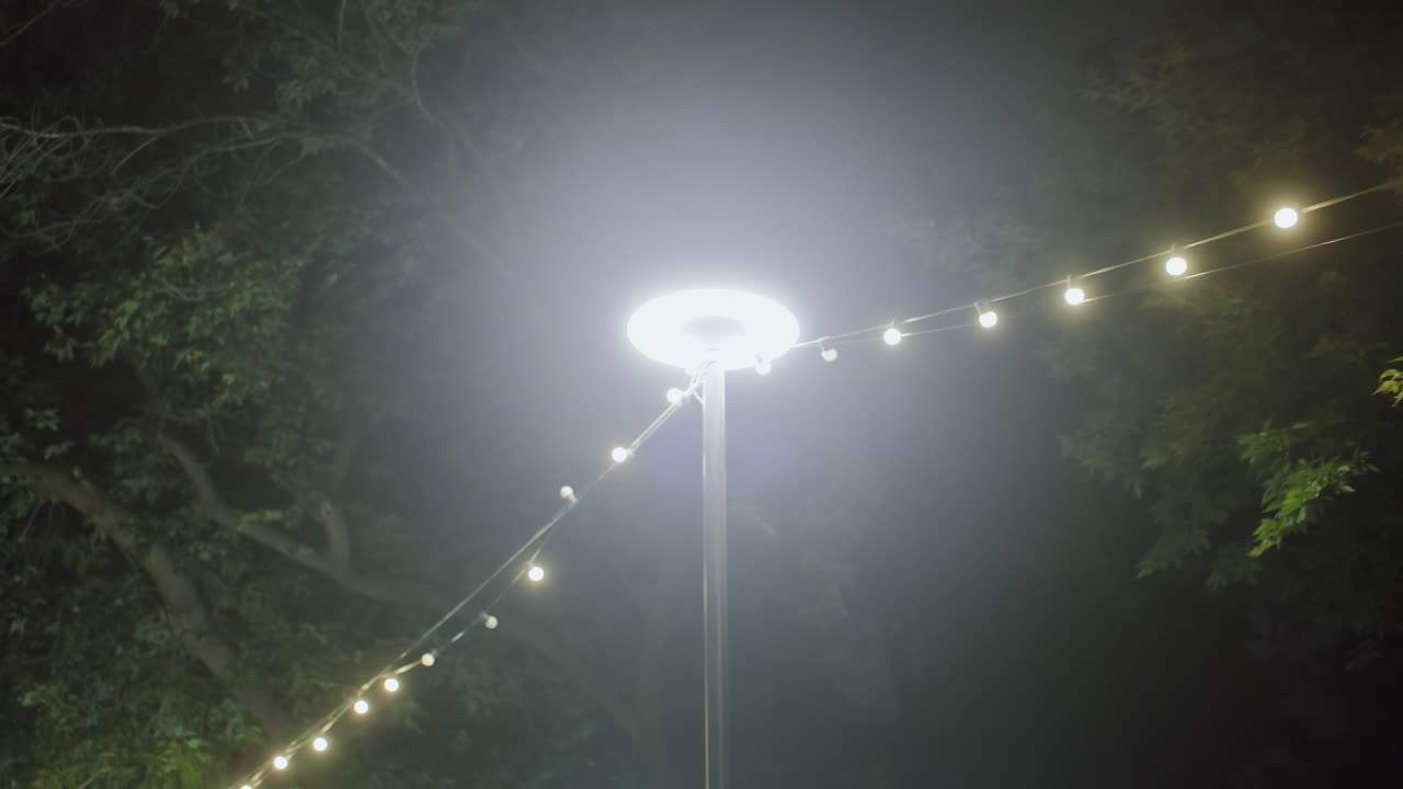 Scenic nighttime outdoor view featuring glowing decorative bulbs and lush green leaves brightly illuminated by street lamp under dark cloudy sky