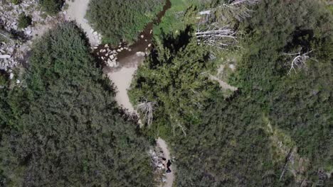 Overhead-shot-of-a-hiker-walking-through-a-lush,-green-clearing-in-the-Sierra-Nevada-Mountains