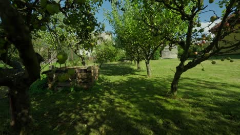 Toma-De-Entrada-Con-Plataforma-Rodante-De-Un-Huerto-De-Manzanos-En-El-Pequeño-Jardín-Durante-El-Verano.