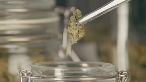 cannabis buds in glass jar