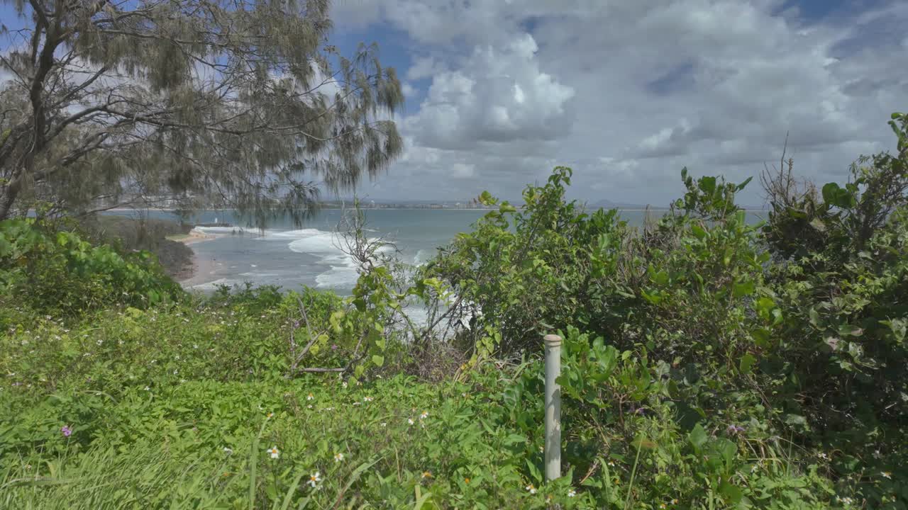 View of the Pacific Ocean with waves crushing on to a sandy beach and green vegetation and trees in the foreground