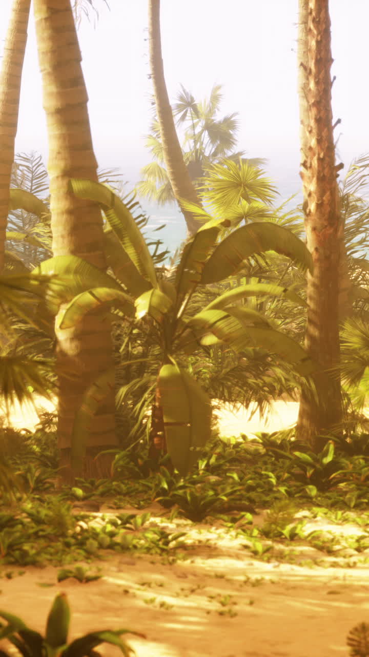 열대 해변 파라다이스