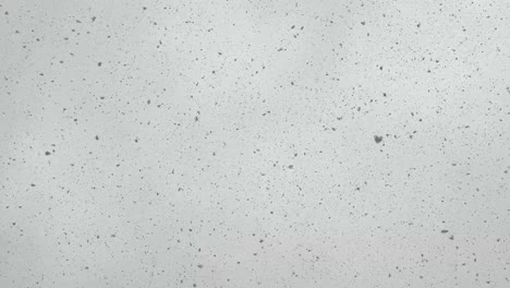 plain simple view of the cloudy sky snow flakes drop in snowfall winter weather gray background wind moves particles ice materials as noise plate screen natural movement nature in iran tehran street