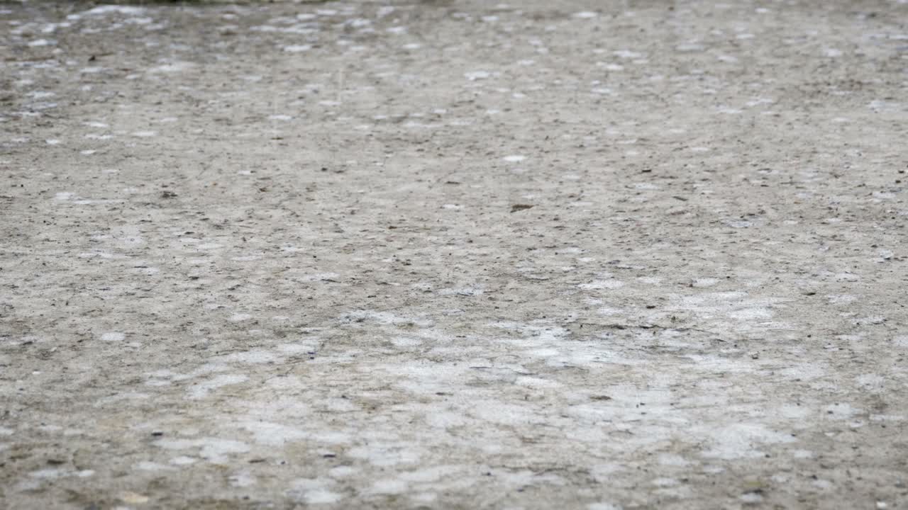 방울이 보행로에 떨어지고 웅이를 형성합니다.