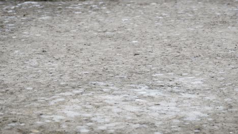 drops of rain fall to the pavement forming a puddle