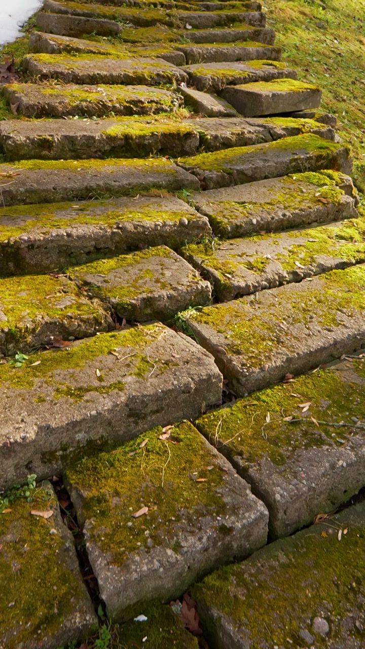 Vertical view of uneven moss-covered stone steps climbing a hillside, capturing aged heritage masonry, slippery texture, and the weathered character of an old outdoor stairway.