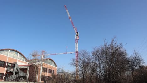 grúas de torre alta trabajan en el sitio de construcción
