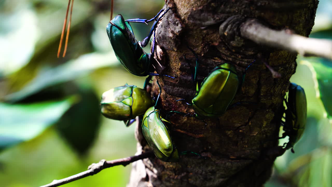 나뭇가지에 행복감 풀지다의 정적 샷을 닫습니다