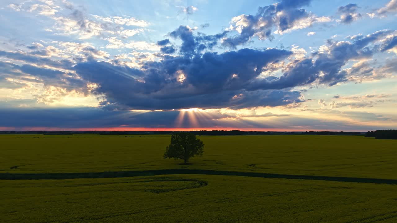 Broad farmland beneath sunlit cloud-filled sky captured by drone