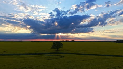 broad farmland beneath sunlit cloud-filled sky captured by drone