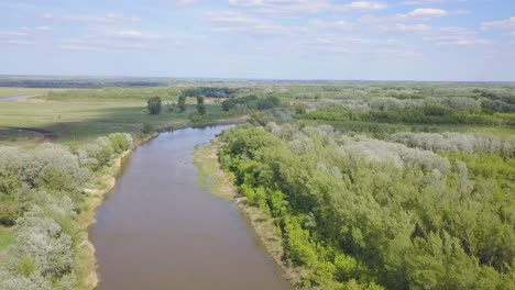 river and forest landscape from above