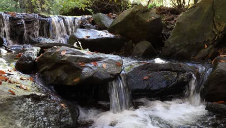 cascada escénica en un pequeño arroyo que fluye a través del bosque con el color del follaje otoñal