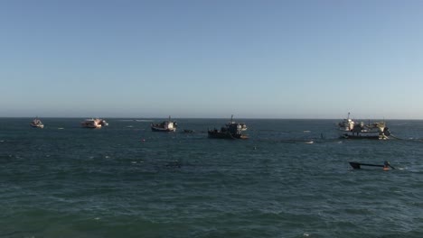 Barcos-De-Diamantes-En-La-Costa-Oeste-De-Sudáfrica